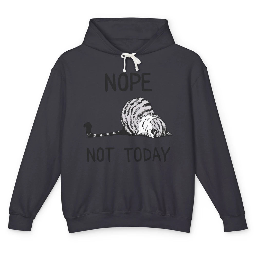 Lazy Cat Nope Not Today Funny Cat Sarcastic Cat Lovers Gift Unisex Lightweight Hoodie