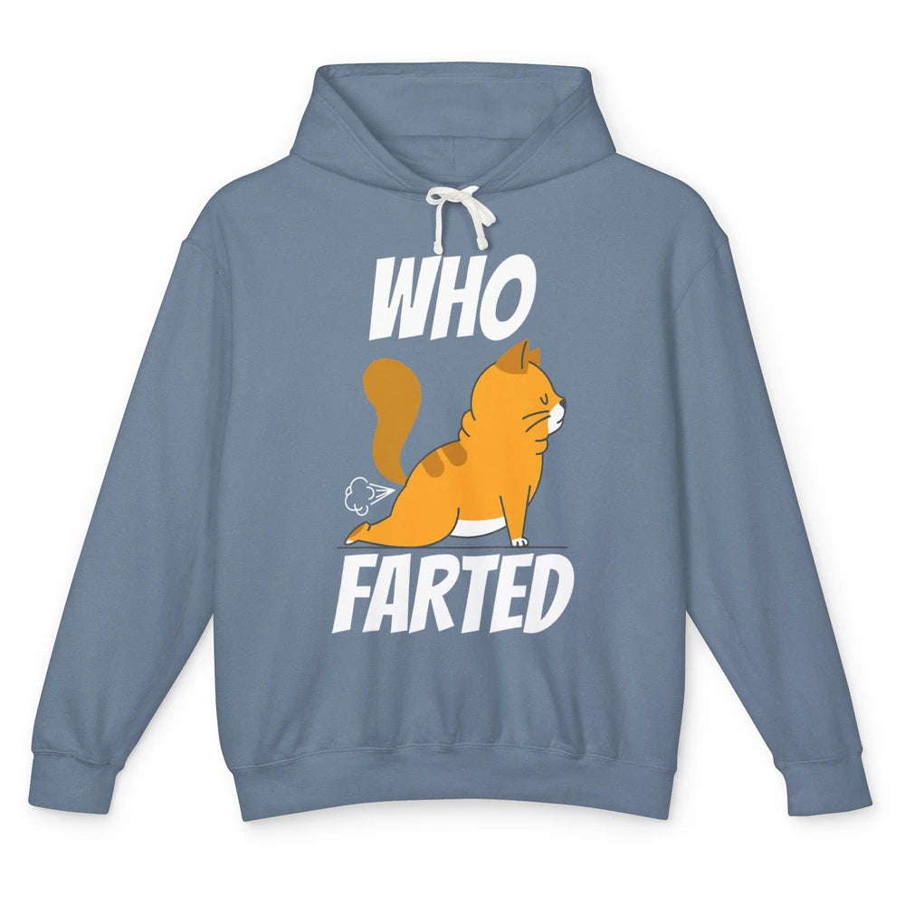 Funny Who Farted Orange Cat Fart Kitten Sarcasm Humor Pun Unisex Lightweight Hoodie