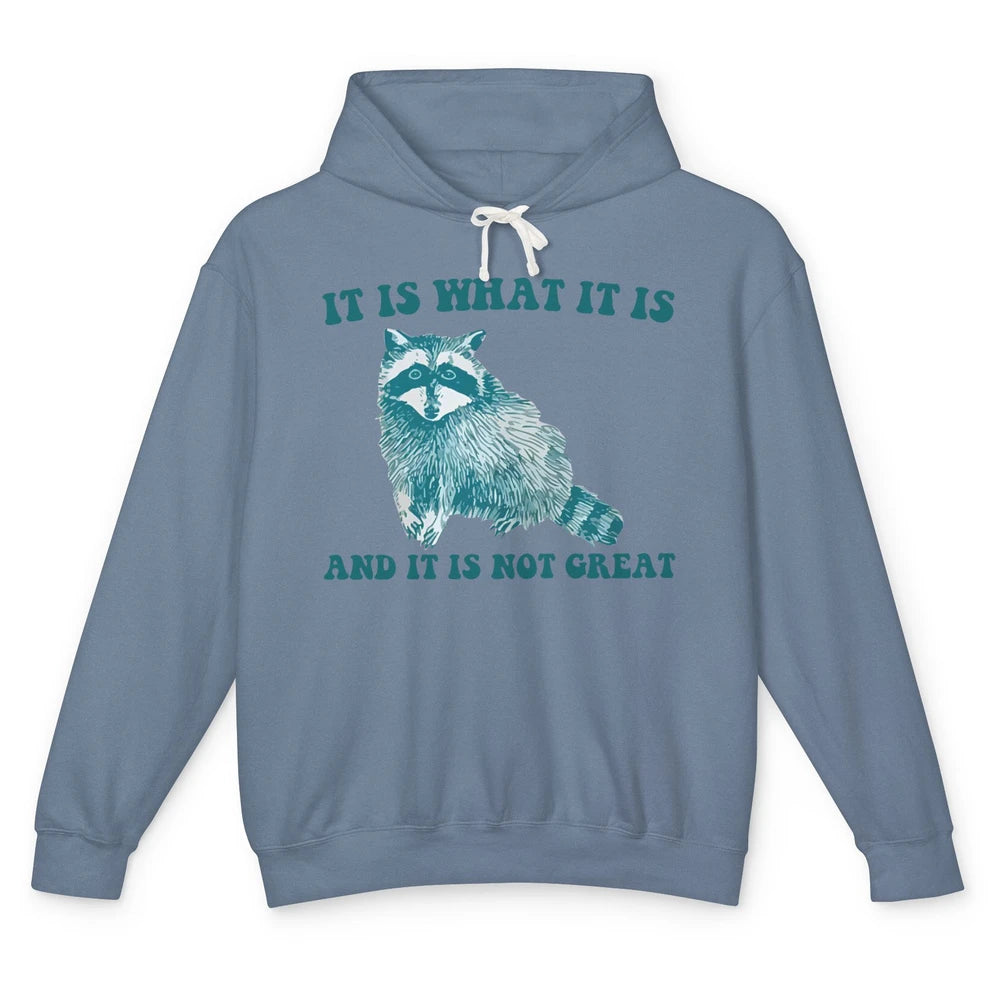 Funny Raccoon It Is What It Is Sarcastic Racoon Inspiration Unisex Lightweight Hoodie