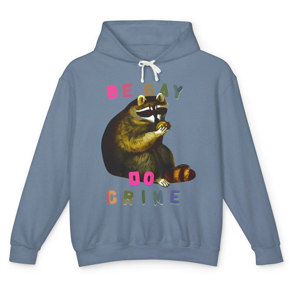 Funny Raccoon Be Gay Do Crime Rainbow LGBTQ Pride Gay Racoon Unisex Lightweight Hoodie