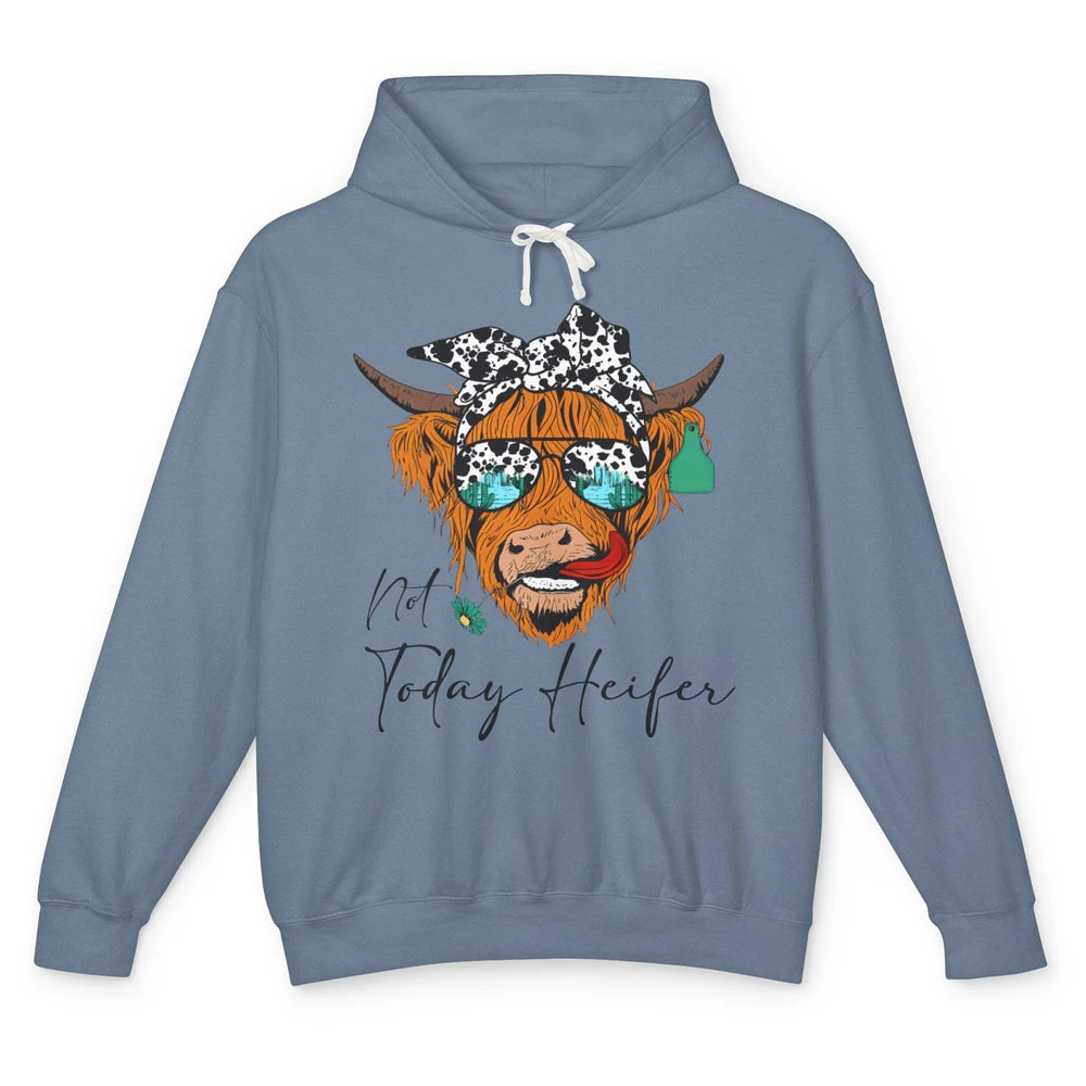 Desert Highland Cow Sunglasses Not Today Heifer Cow Lovers Unisex Lightweight Hoodie