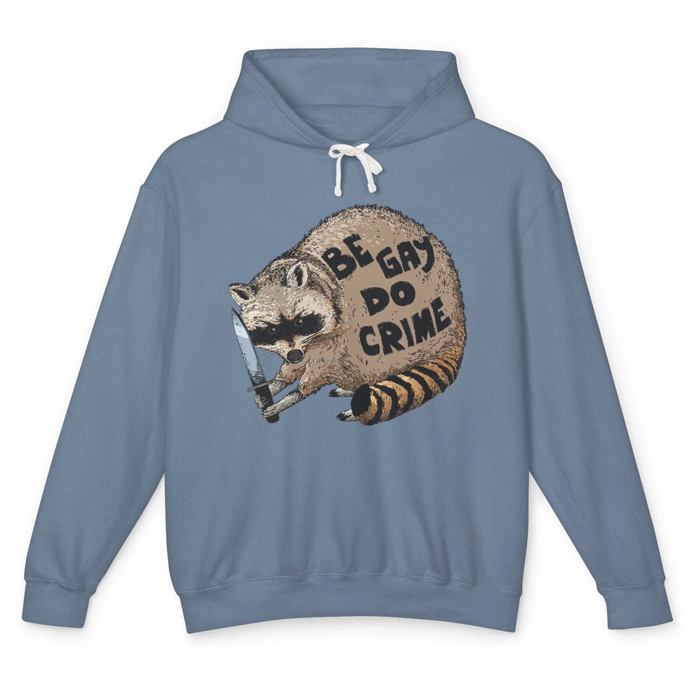 Funny Raccoon Be Gay Do Crime LGBTQ Pride Gay Racoon Lovers Unisex Lightweight Hoodie