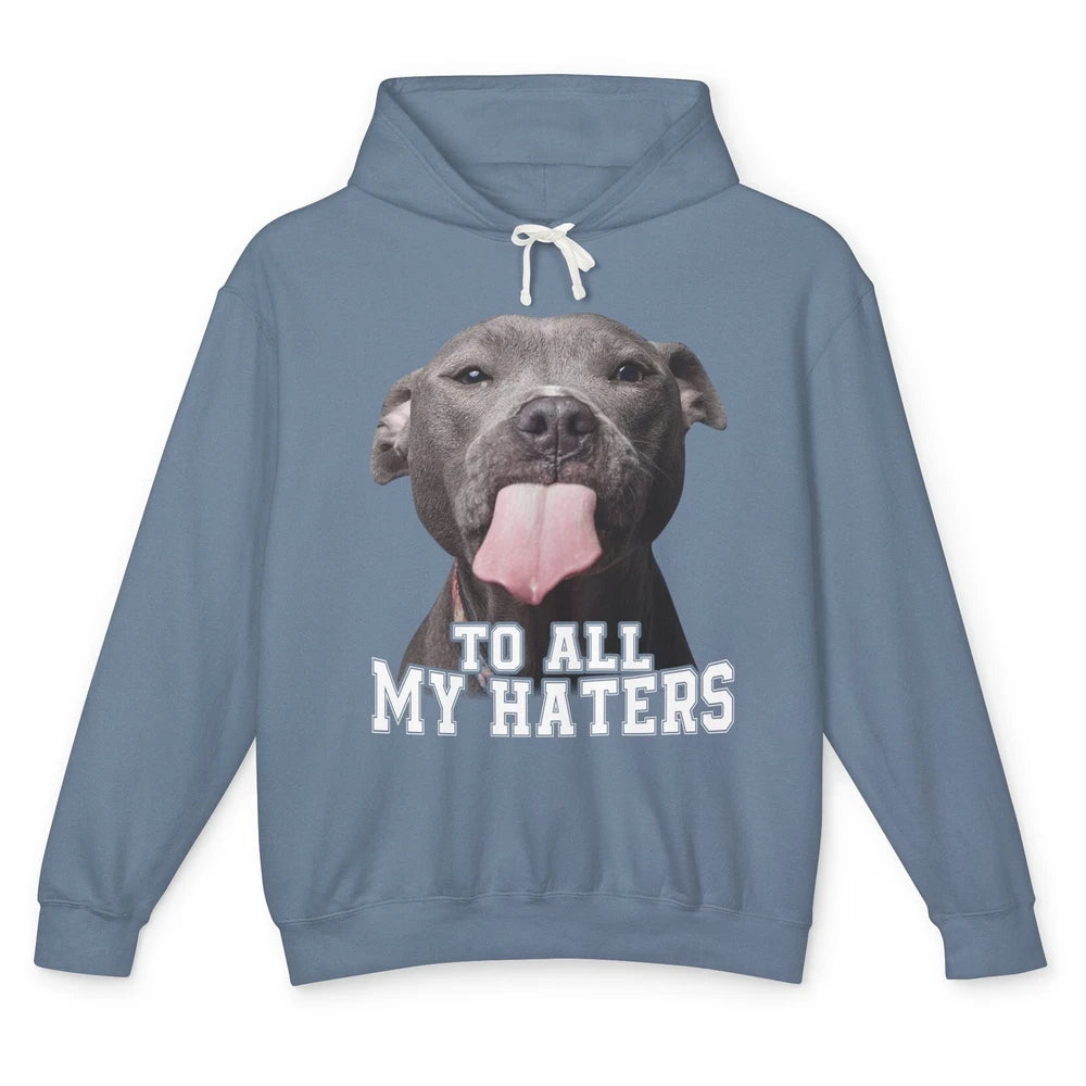 Funny Pitbull To All My Haters Dog Mom Dad Sarcastic Unisex Lightweight Hoodie