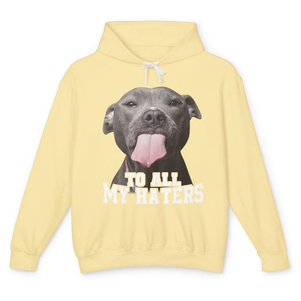 Funny Pitbull To All My Haters Dog Mom Dad Sarcastic Unisex Lightweight Hoodie