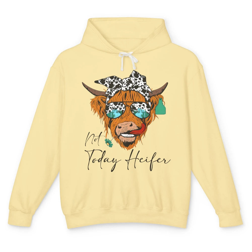 Desert Highland Cow Sunglasses Not Today Heifer Cow Lovers Unisex Lightweight Hoodie