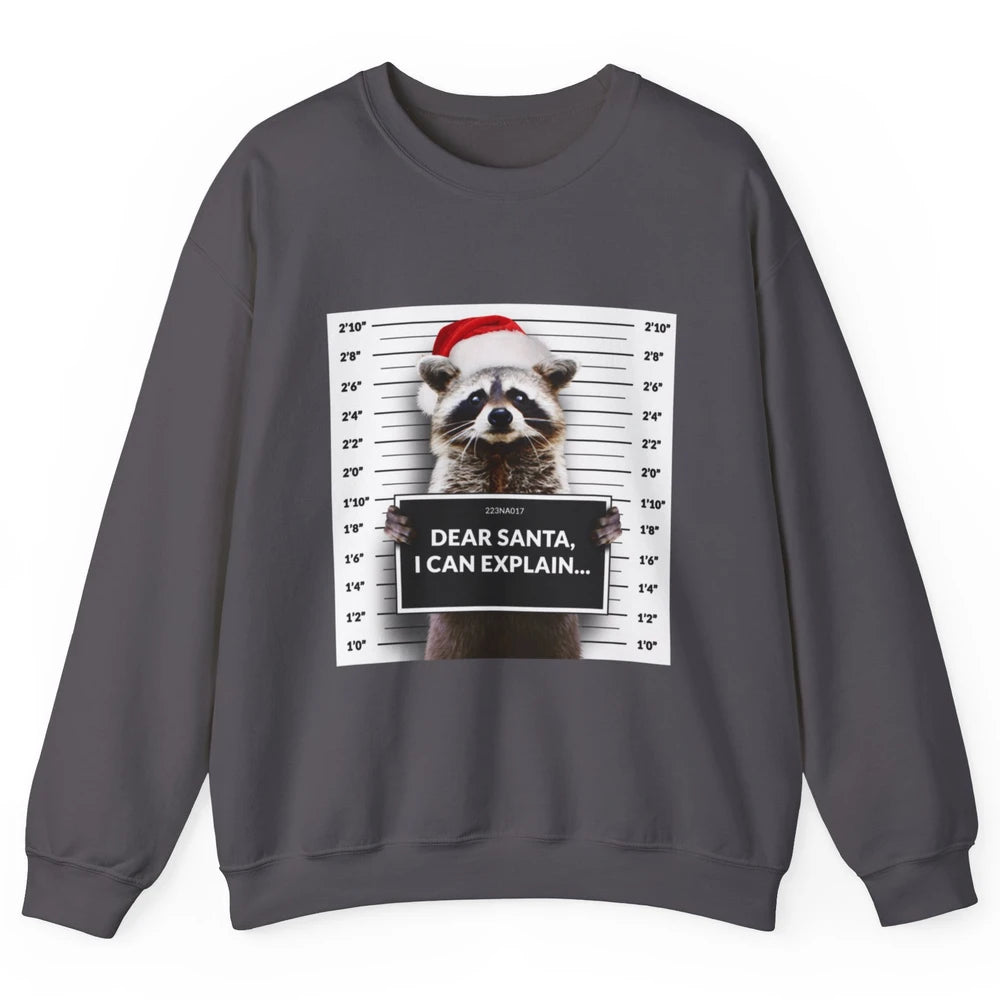 Funny Dear Santa I Can Explain Raccoon Xmas Merry Christmas Unisex Crewneck Sweatshirt