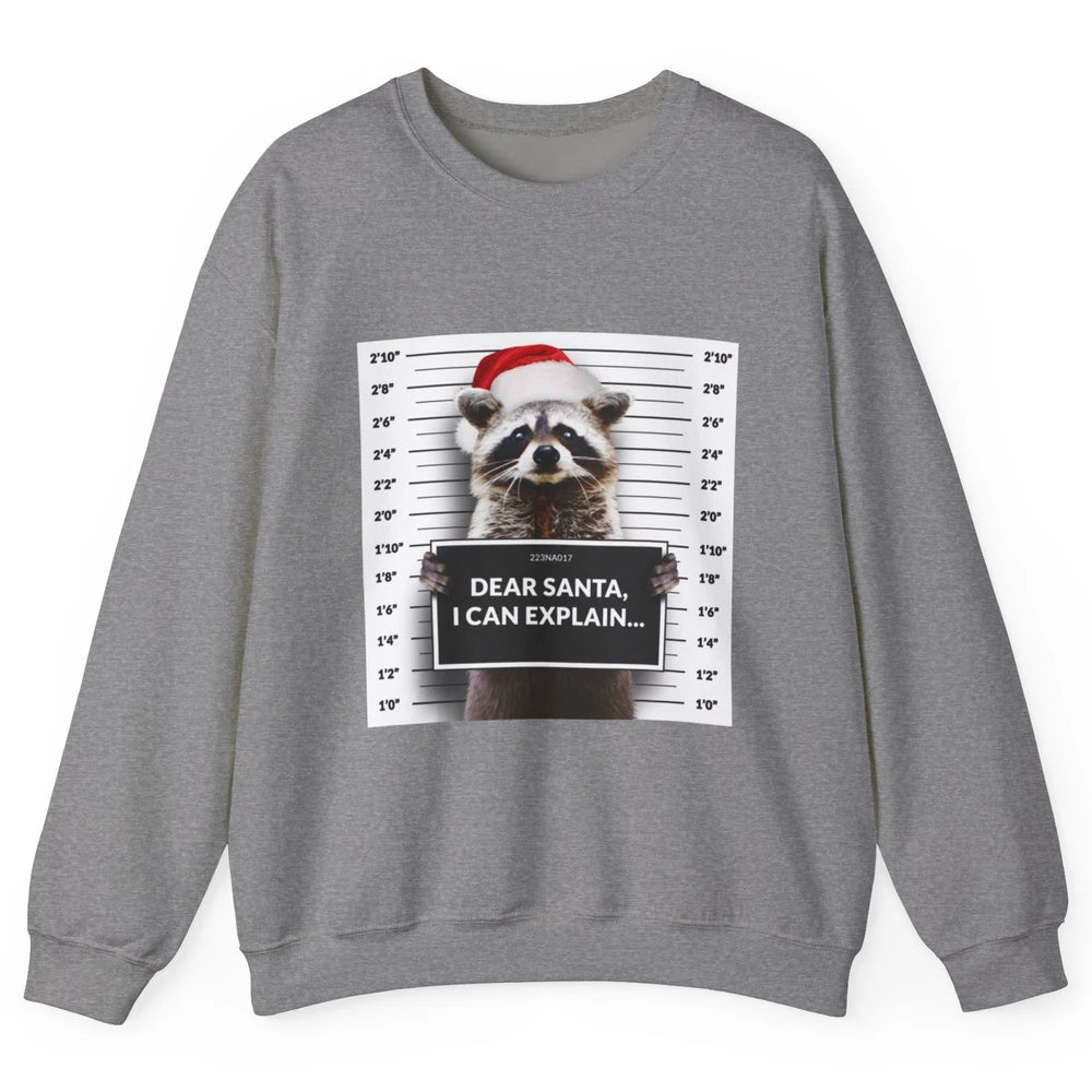 Funny Dear Santa I Can Explain Raccoon Xmas Merry Christmas Unisex Crewneck Sweatshirt