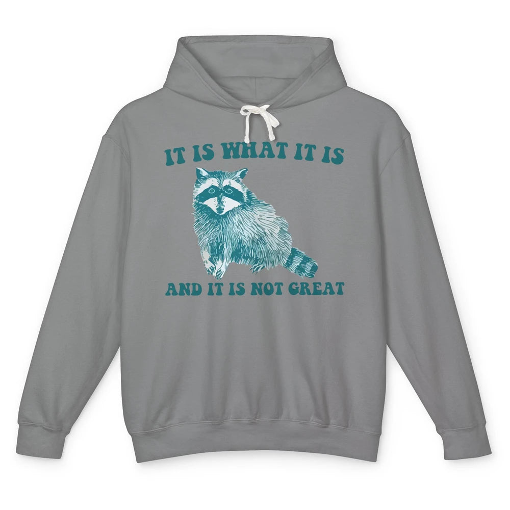 Funny Raccoon It Is What It Is Sarcastic Racoon Inspiration Unisex Lightweight Hoodie