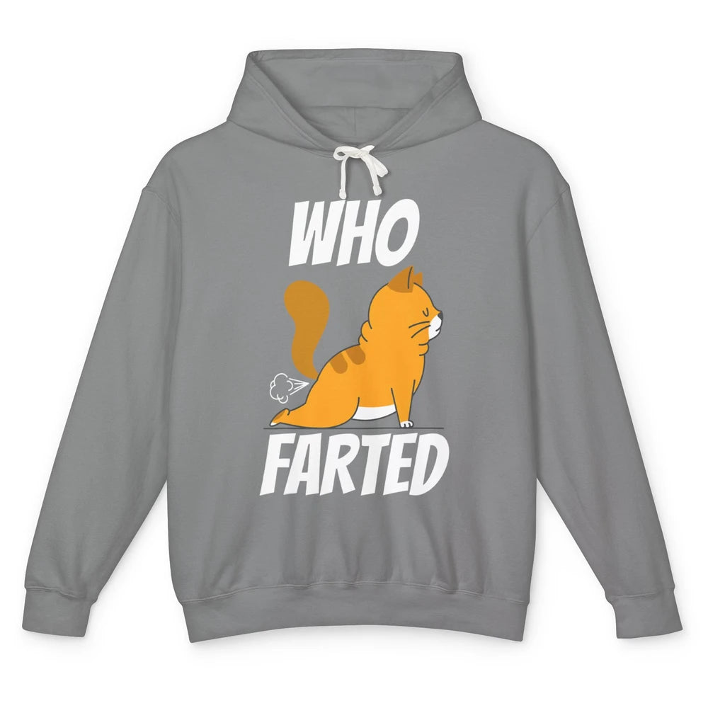 Funny Who Farted Orange Cat Fart Kitten Sarcasm Humor Pun Unisex Lightweight Hoodie