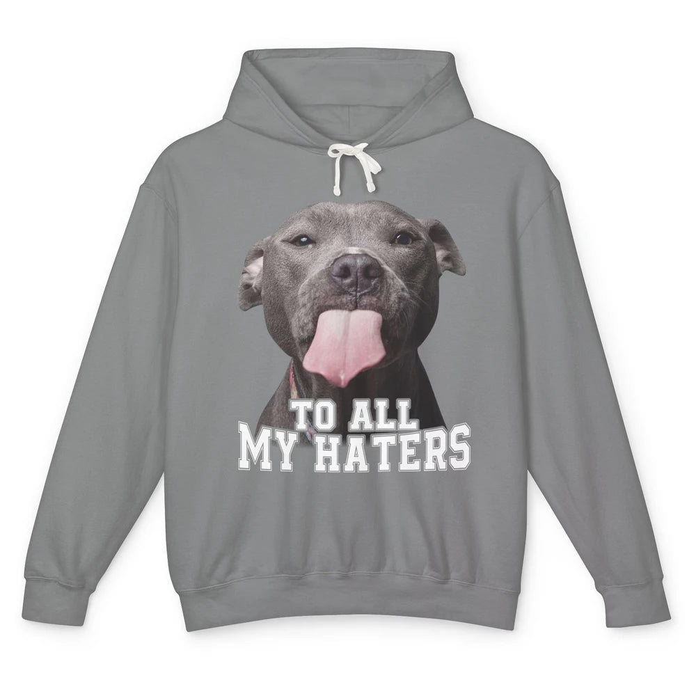 Funny Pitbull To All My Haters Dog Mom Dad Sarcastic Unisex Lightweight Hoodie