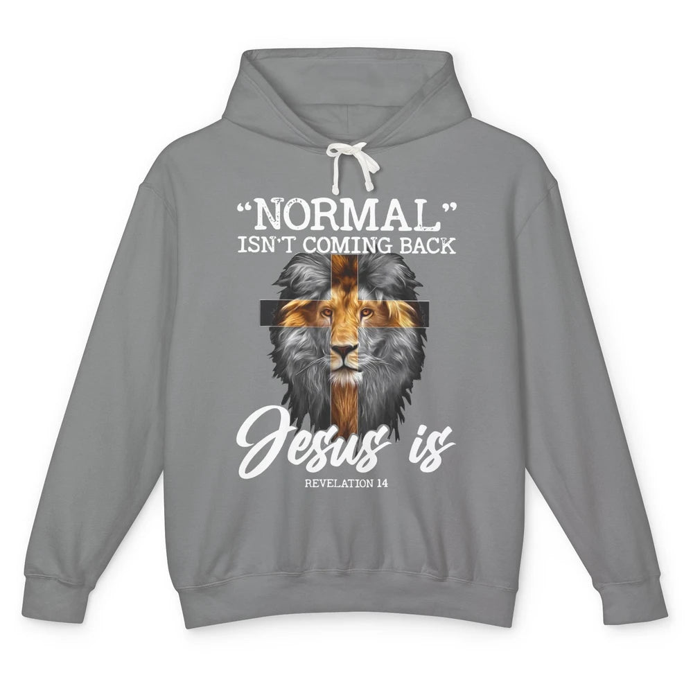 Lion Normal Not Coming Back Jesus Is Religion God Christian Unisex Lightweight Hoodie