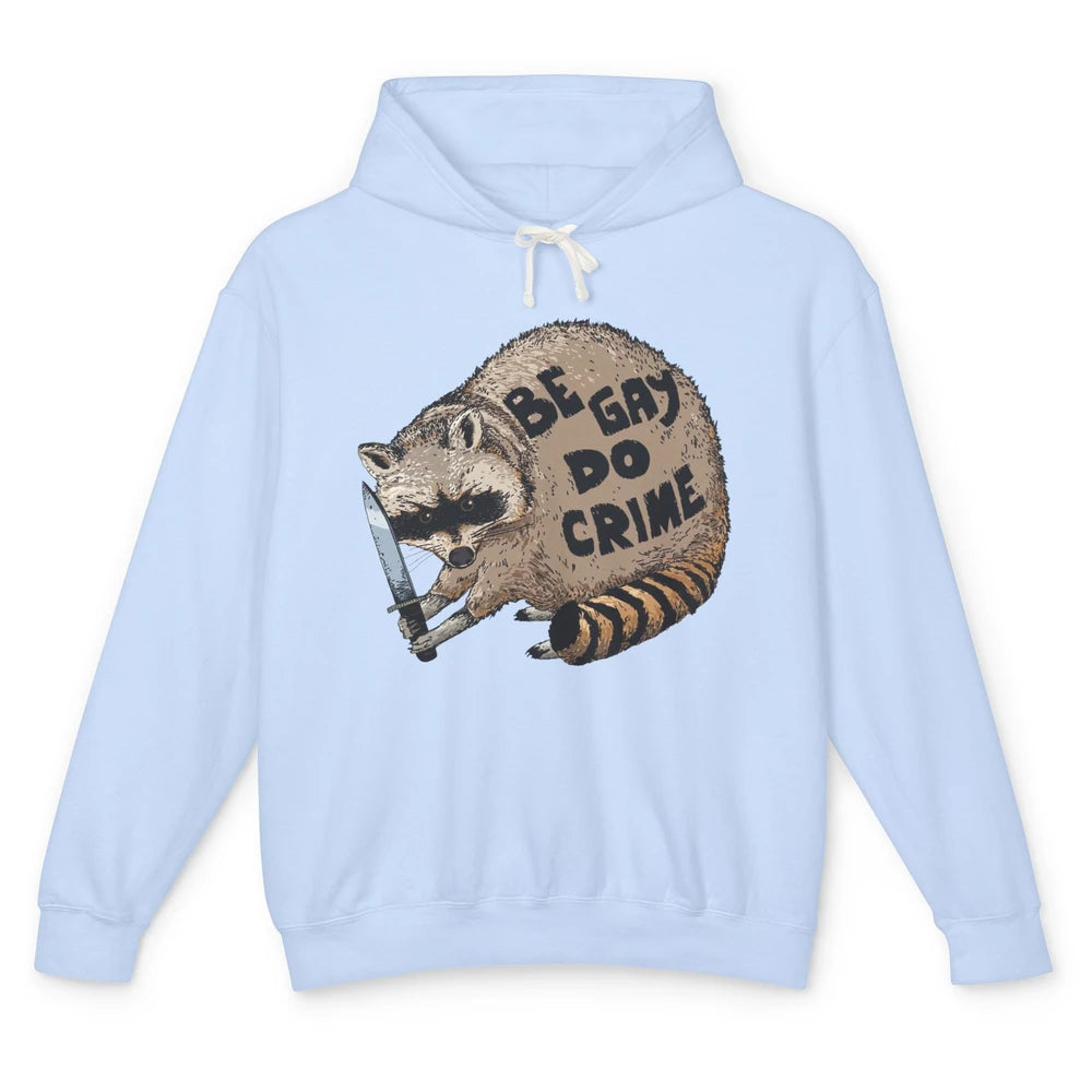 Funny Raccoon Be Gay Do Crime LGBTQ Pride Gay Racoon Lovers Unisex Lightweight Hoodie