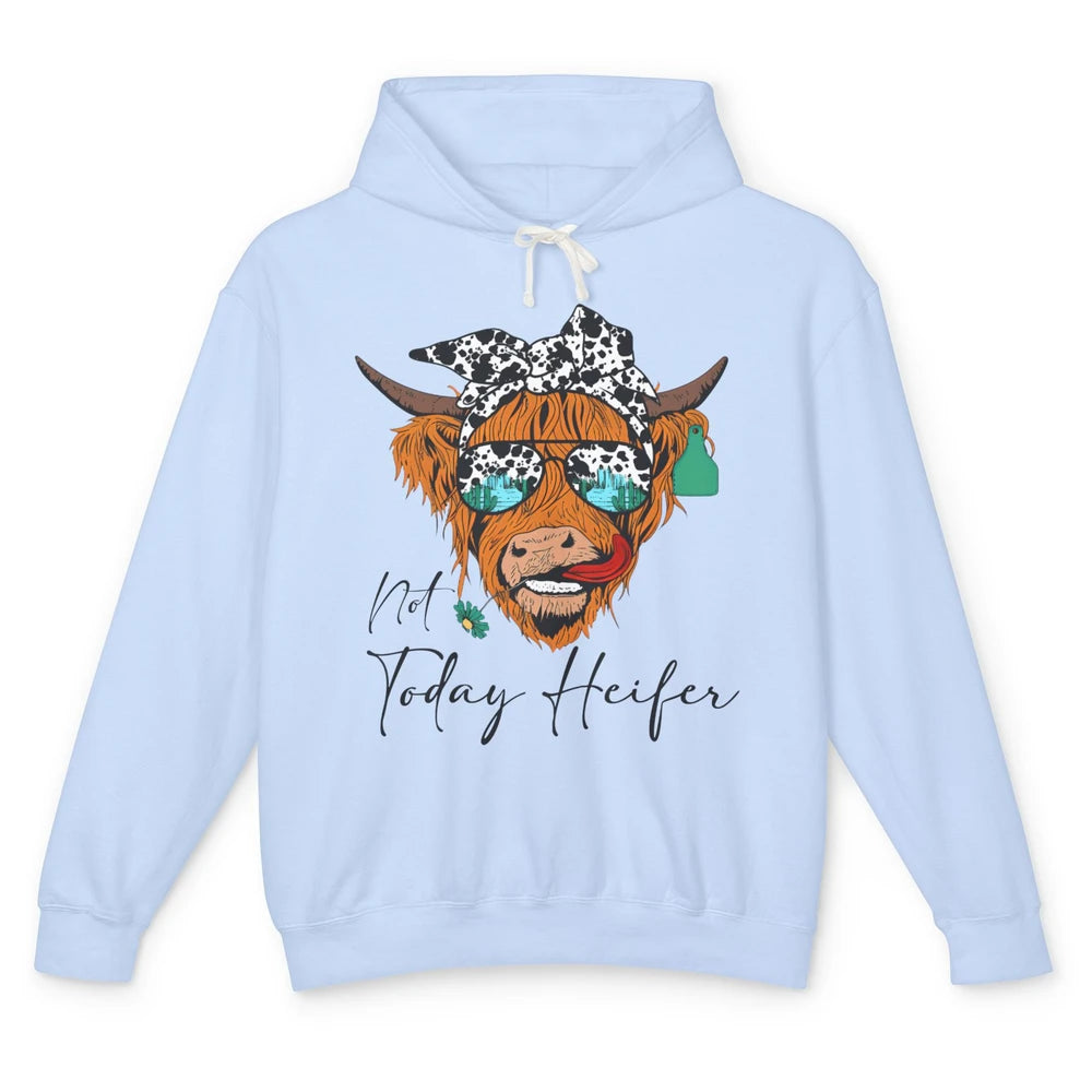 Desert Highland Cow Sunglasses Not Today Heifer Cow Lovers Unisex Lightweight Hoodie