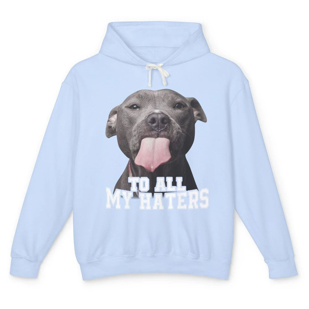 Funny Pitbull To All My Haters Dog Mom Dad Sarcastic Unisex Lightweight Hoodie