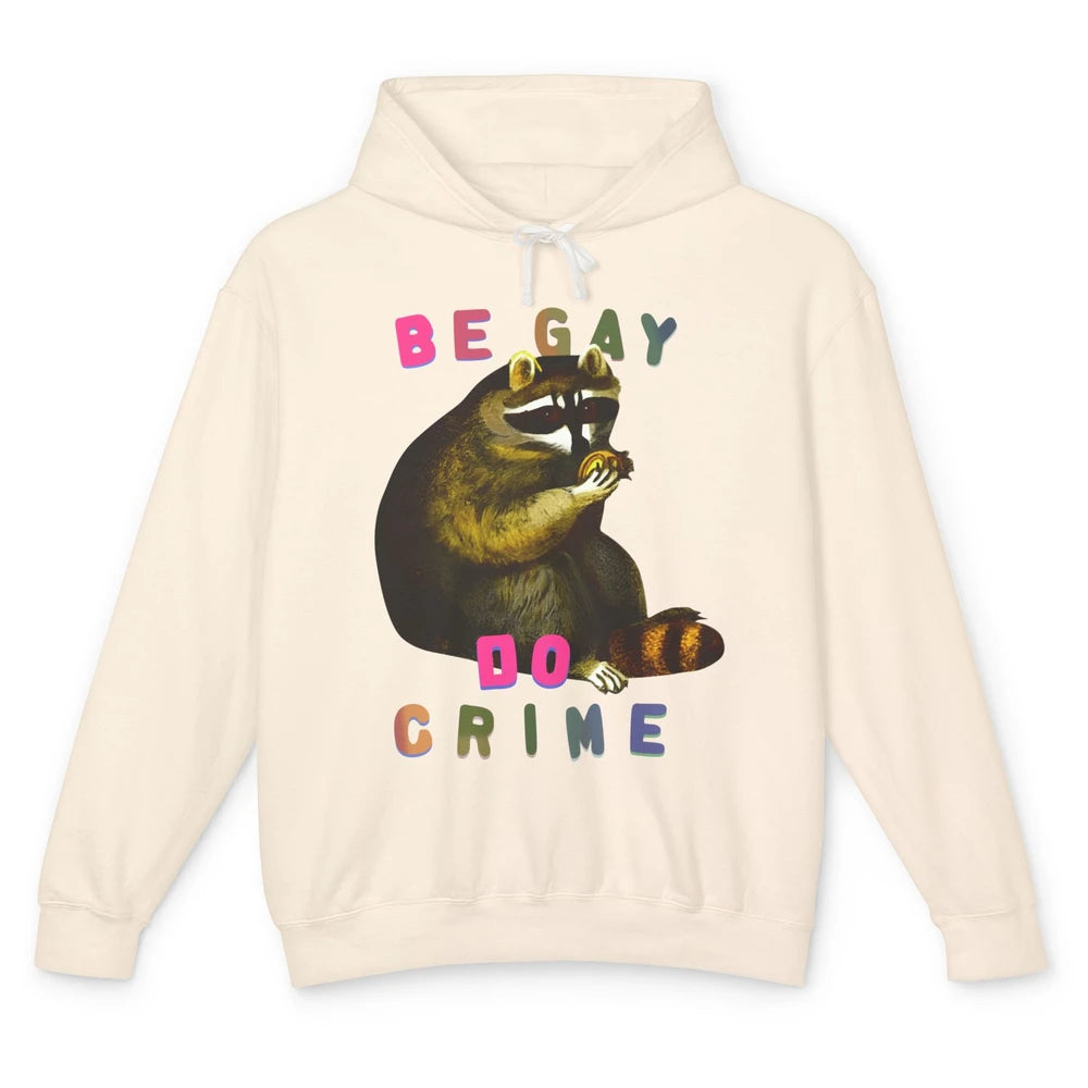 Funny Raccoon Be Gay Do Crime Rainbow LGBTQ Pride Gay Racoon Unisex Lightweight Hoodie