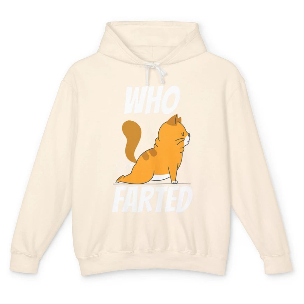 Funny Who Farted Orange Cat Fart Kitten Sarcasm Humor Pun Unisex Lightweight Hoodie