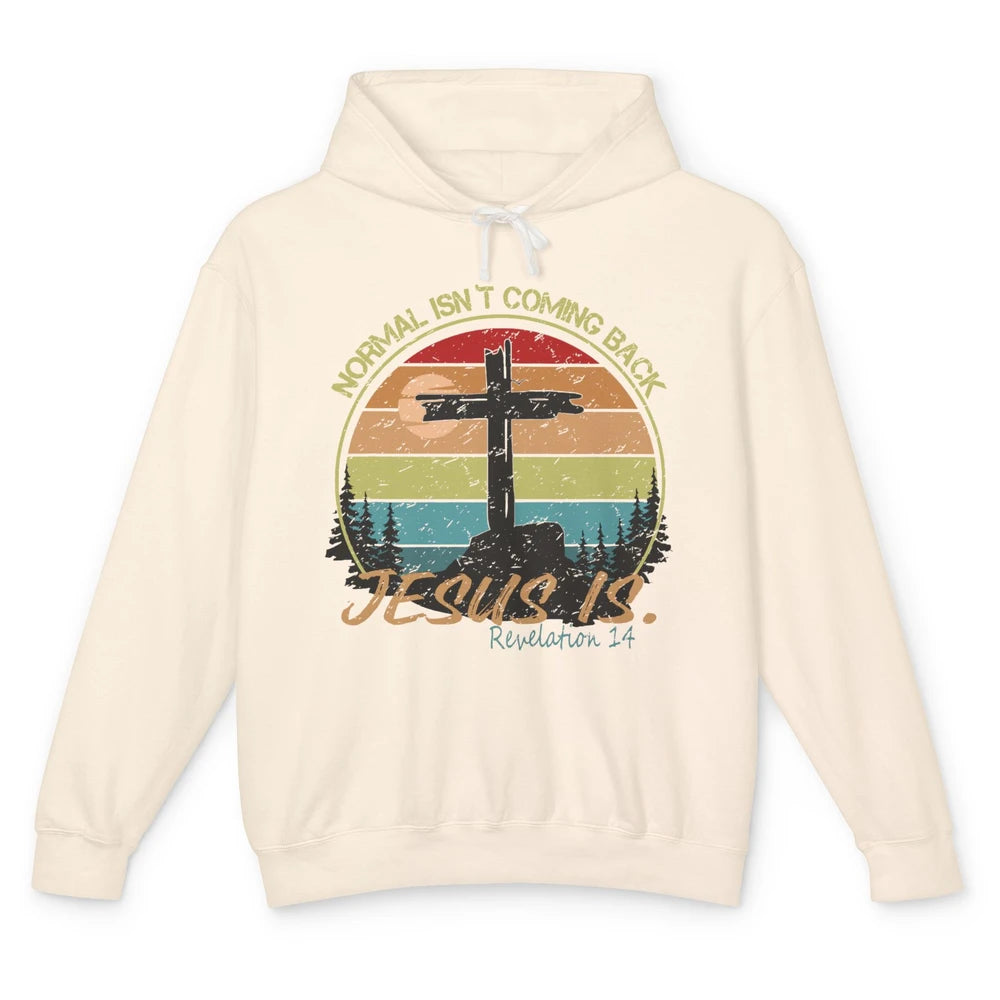 Vintage Normal Isn't Coming Back Jesus is Christian Western Unisex Lightweight Hoodie