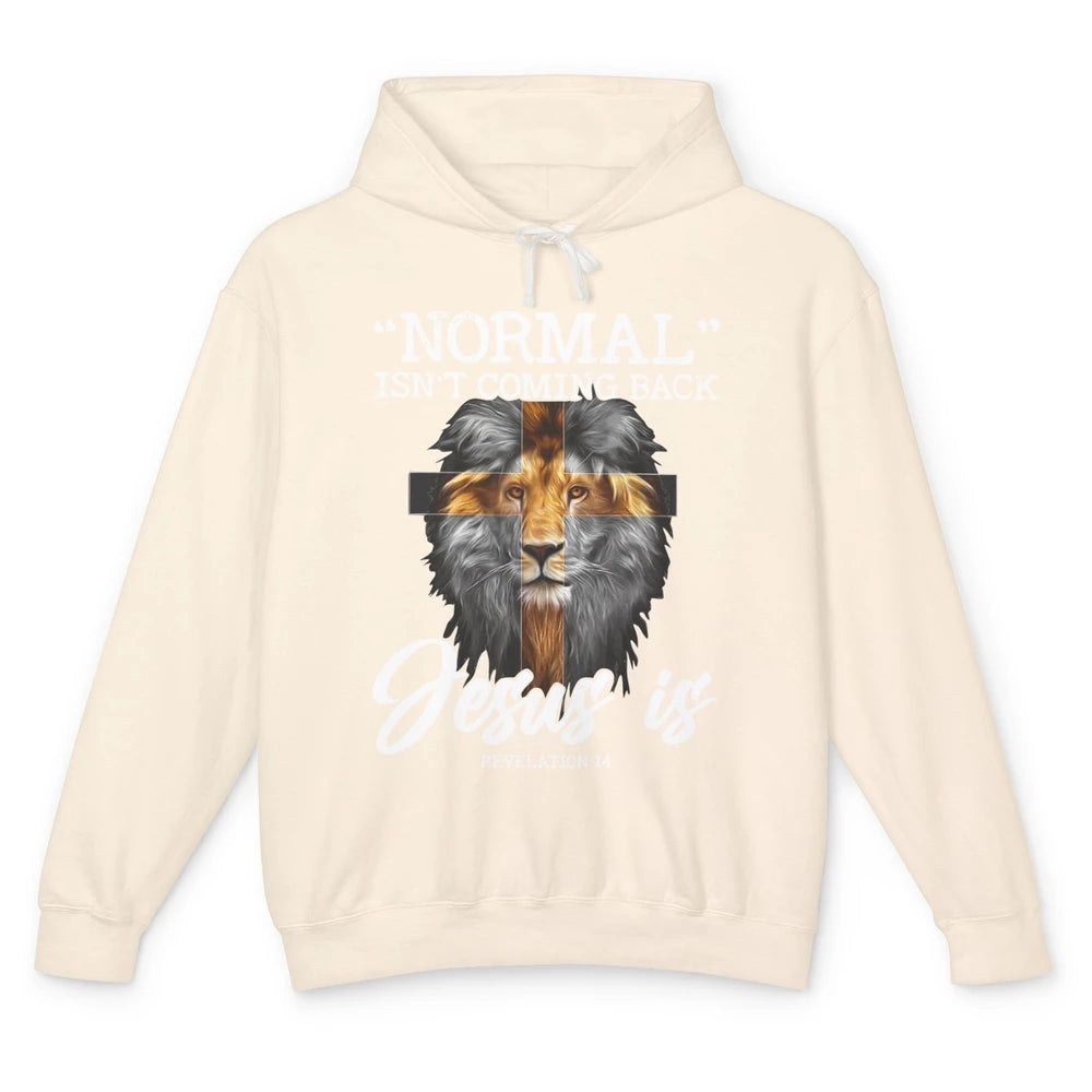 Lion Normal Not Coming Back Jesus Is Religion God Christian Unisex Lightweight Hoodie