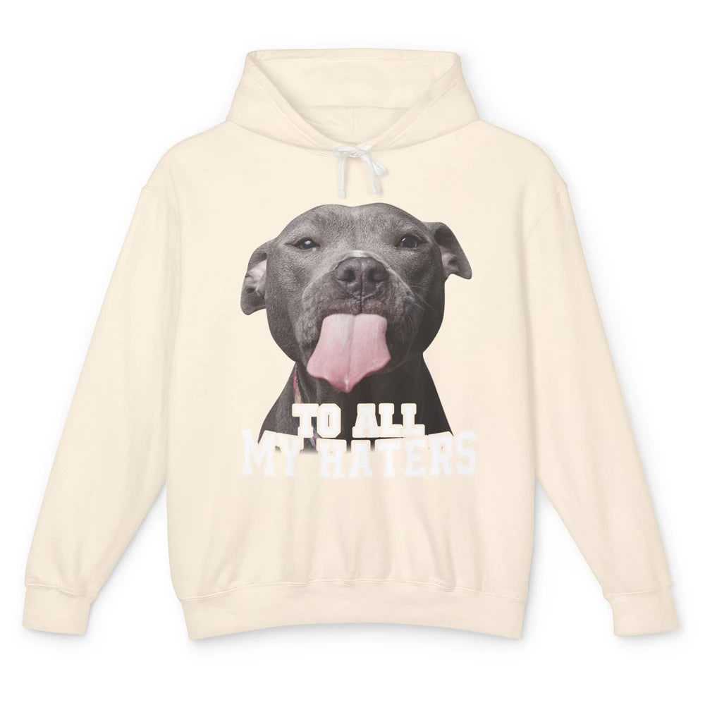 Funny Pitbull To All My Haters Dog Mom Dad Sarcastic Unisex Lightweight Hoodie