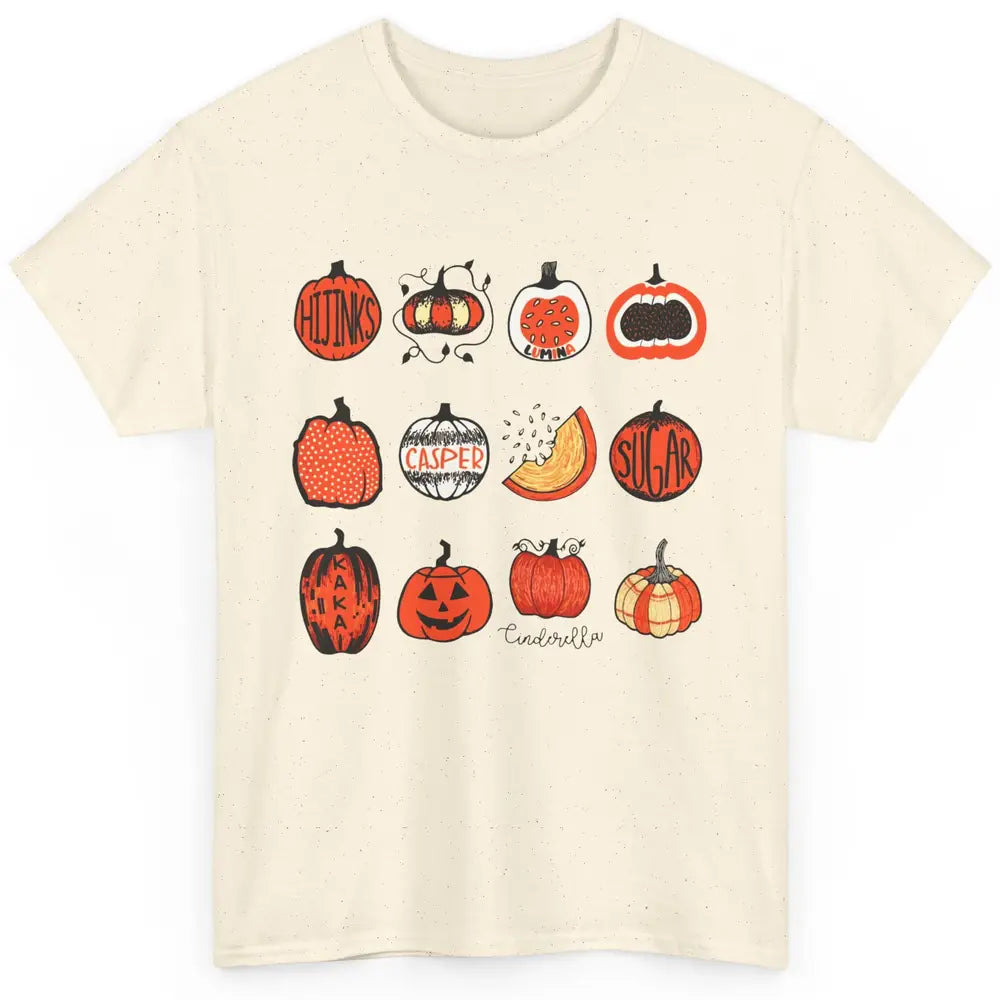 Cute Pumpkin Fall Halloween Pumpkin Types Classification Classic Unisex T-Shirt