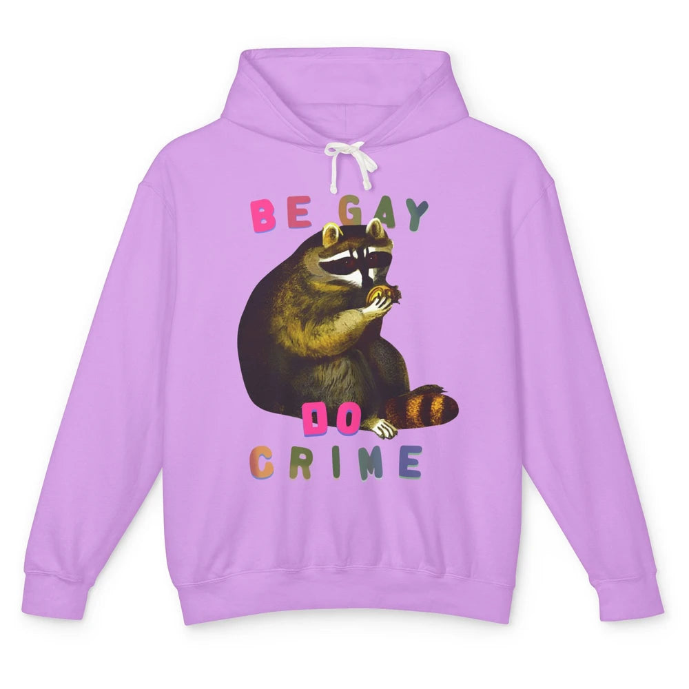 Funny Raccoon Be Gay Do Crime Rainbow LGBTQ Pride Gay Racoon Unisex Lightweight Hoodie