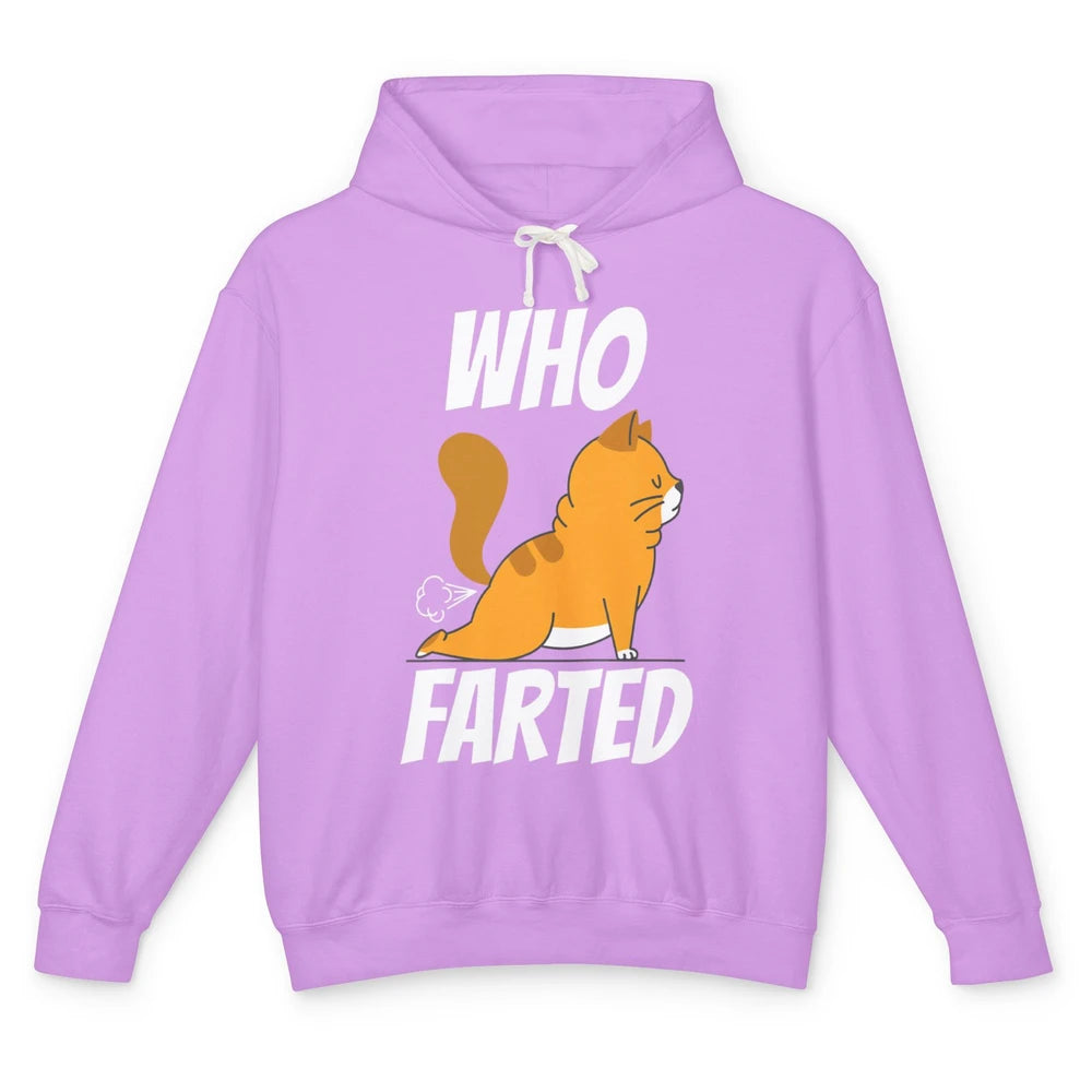 Funny Who Farted Orange Cat Fart Kitten Sarcasm Humor Pun Unisex Lightweight Hoodie