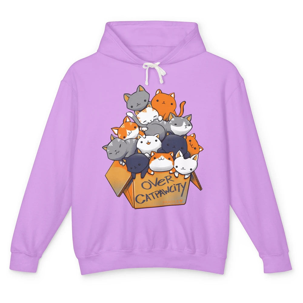 Funny Cat In Box Over Cat Paw City Abandoned Cats Adopt Cat Unisex Lightweight Hoodie