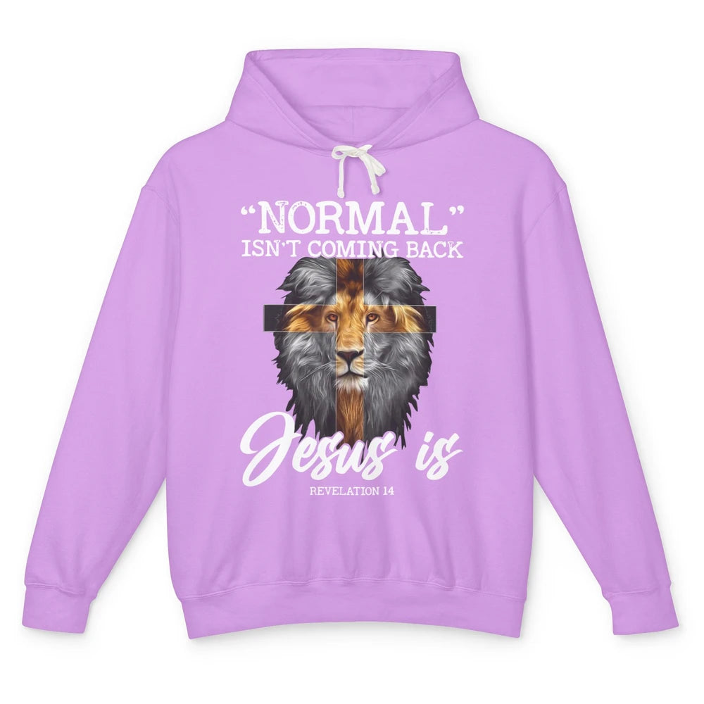 Lion Normal Not Coming Back Jesus Is Religion God Christian Unisex Lightweight Hoodie