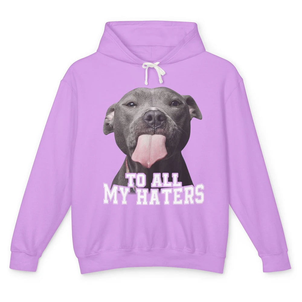 Funny Pitbull To All My Haters Dog Mom Dad Sarcastic Unisex Lightweight Hoodie