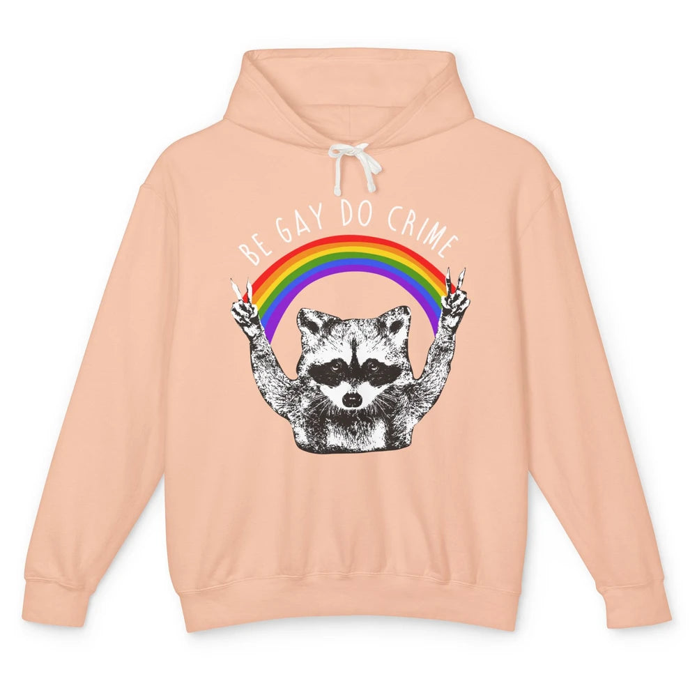 Funny Raccoon Be Gay Do Crime Rainbow LGBTQ Pride Gay Racoon Unisex Lightweight Hoodie