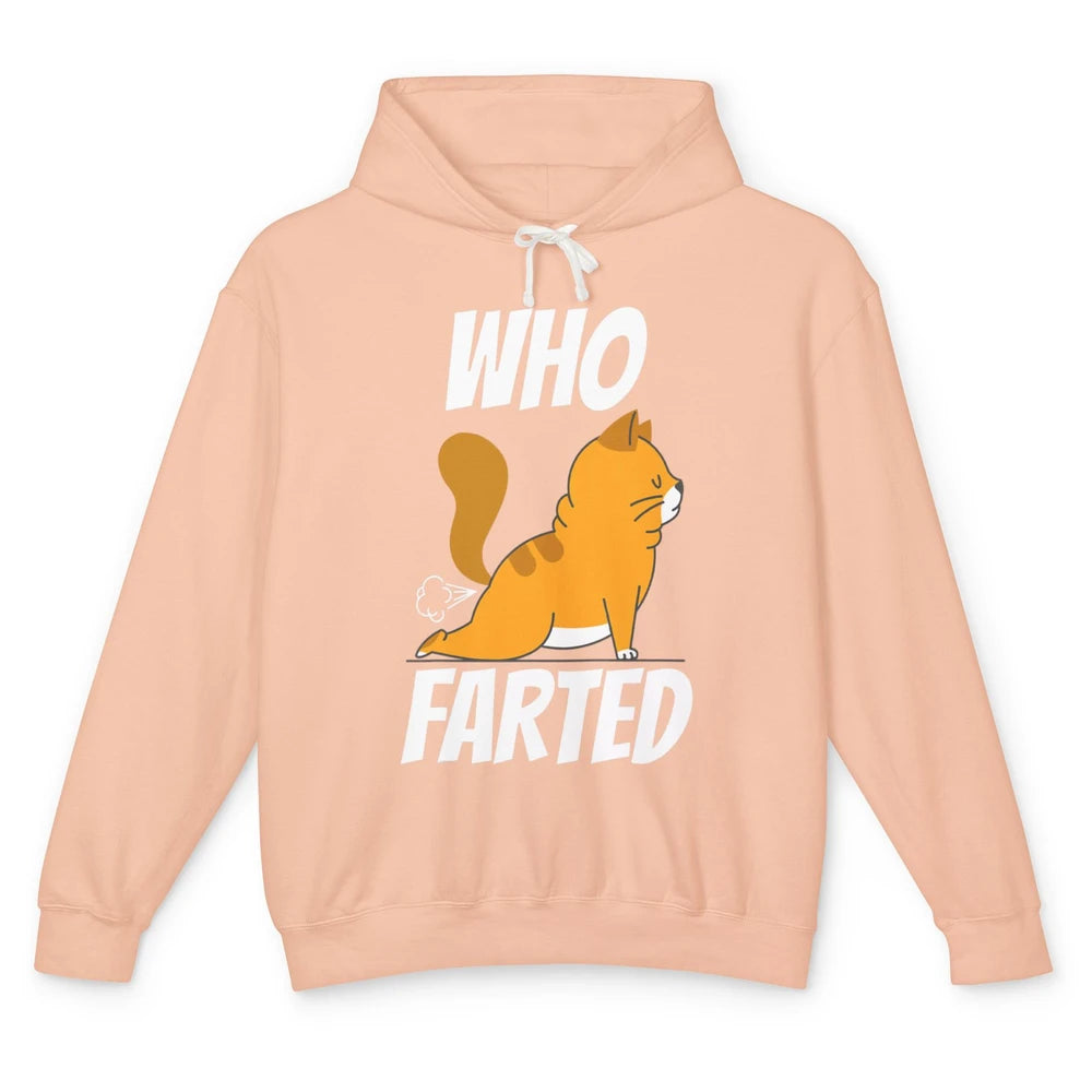 Funny Who Farted Orange Cat Fart Kitten Sarcasm Humor Pun Unisex Lightweight Hoodie