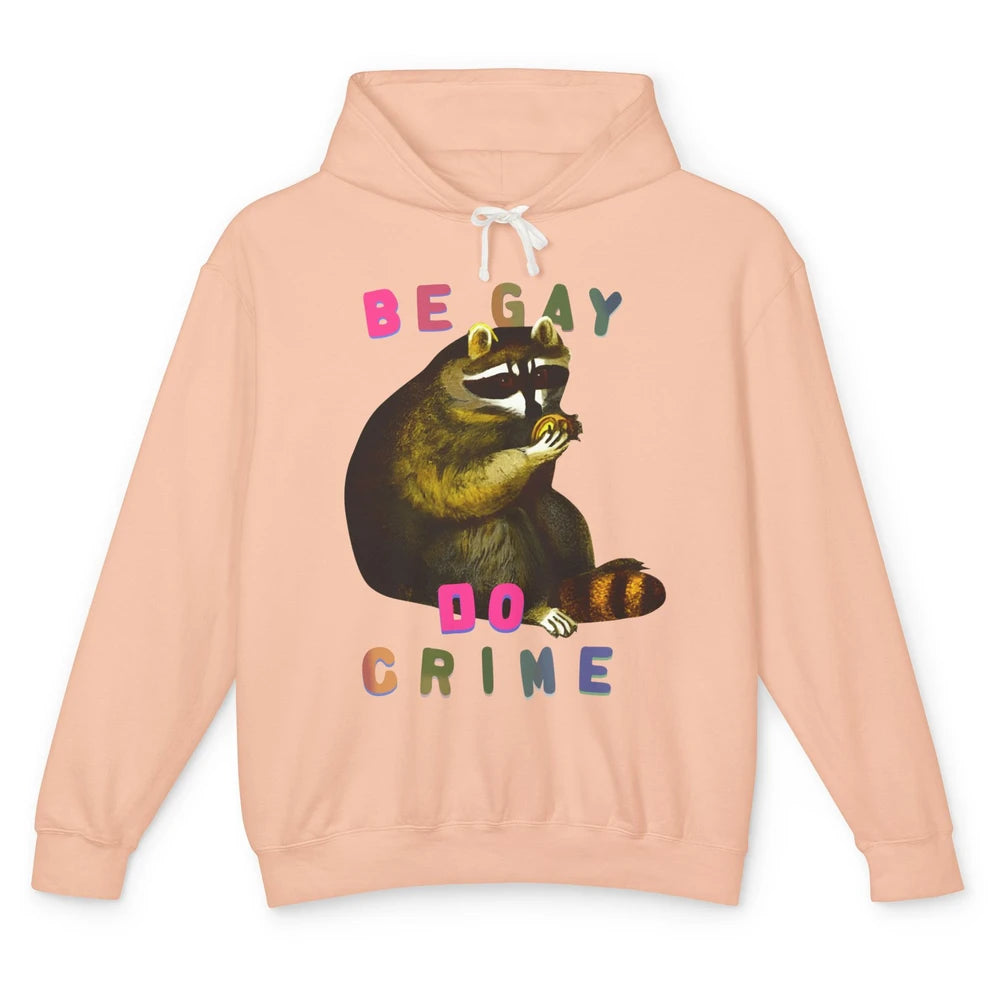 Funny Raccoon Be Gay Do Crime Rainbow LGBTQ Pride Gay Racoon Unisex Lightweight Hoodie