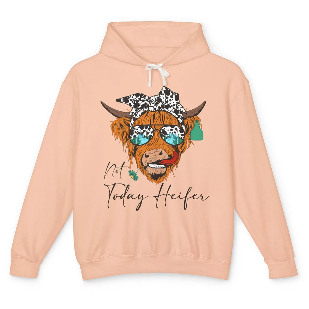 Desert Highland Cow Sunglasses Not Today Heifer Cow Lovers Unisex Lightweight Hoodie