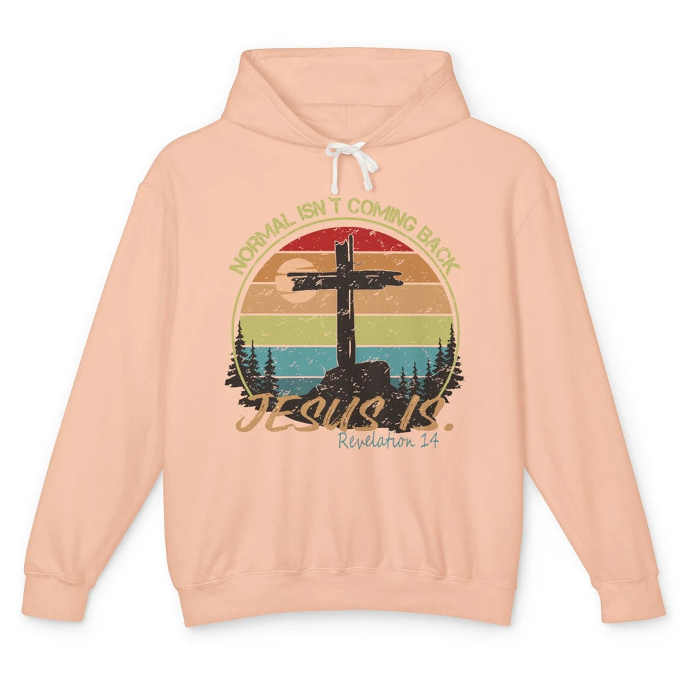 Vintage Normal Isn't Coming Back Jesus is Christian Western Unisex Lightweight Hoodie