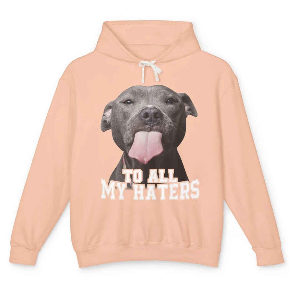 Funny Pitbull To All My Haters Dog Mom Dad Sarcastic Unisex Lightweight Hoodie