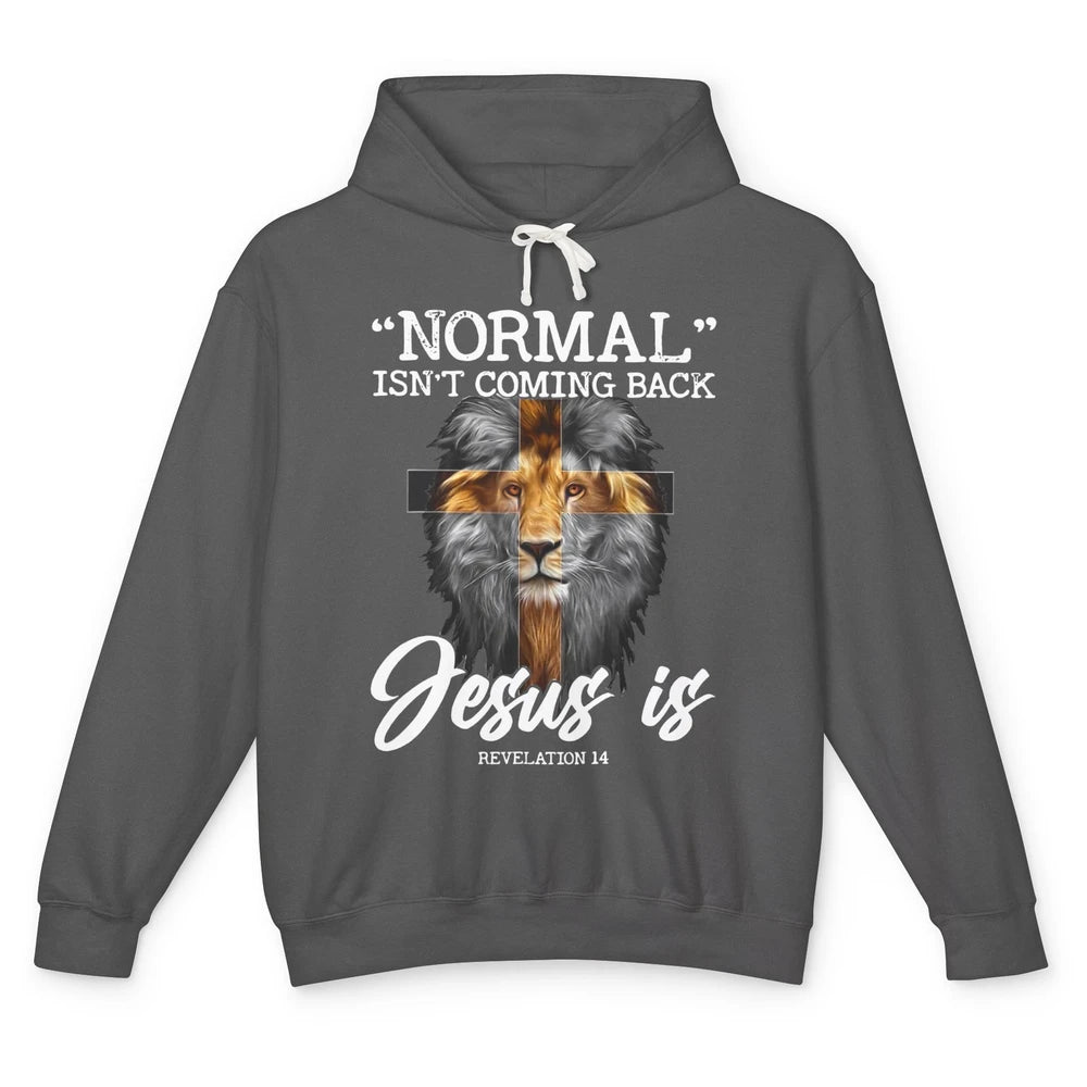 Lion Normal Not Coming Back Jesus Is Religion God Christian Unisex Lightweight Hoodie