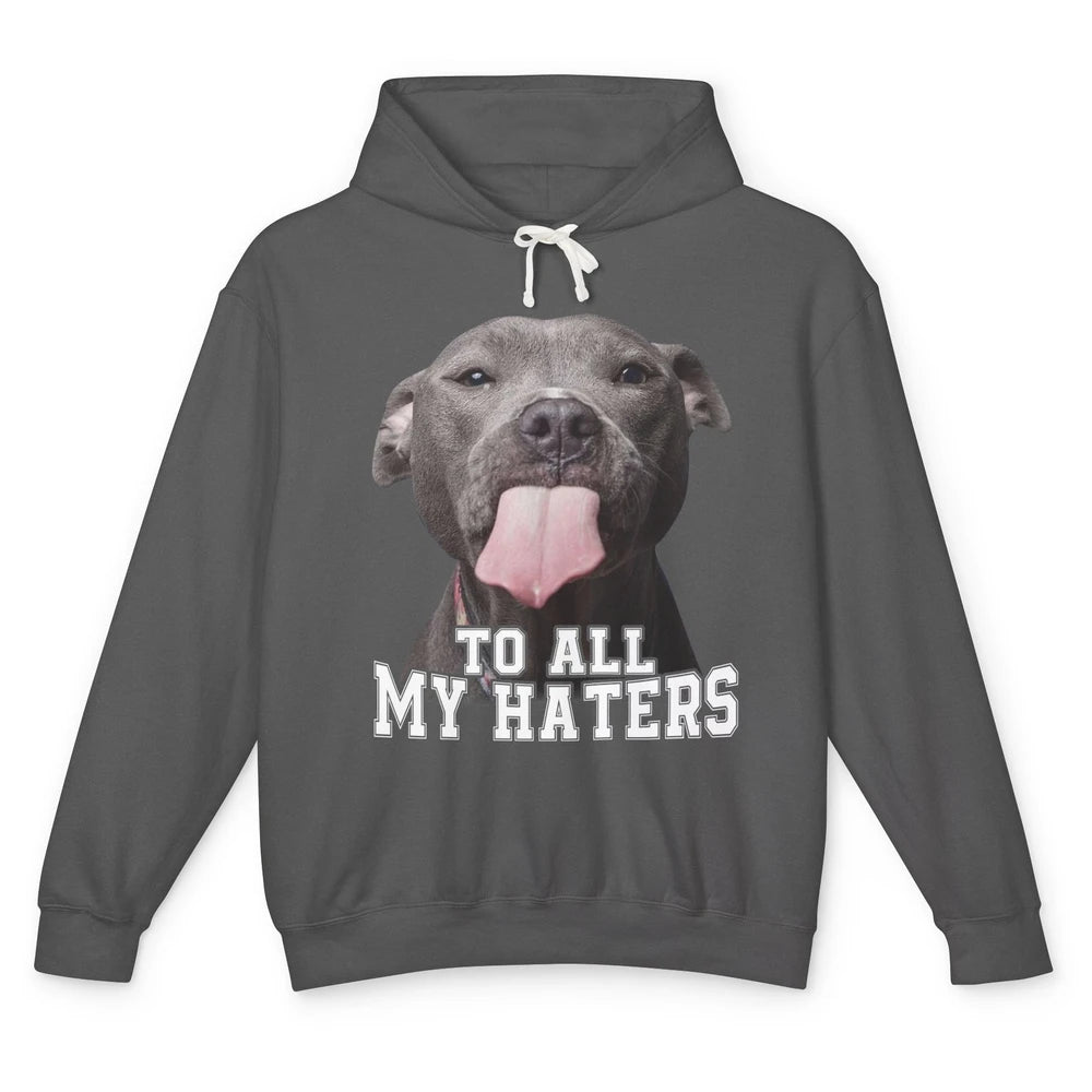 Funny Pitbull To All My Haters Dog Mom Dad Sarcastic Unisex Lightweight Hoodie