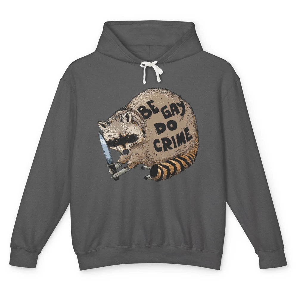 Funny Raccoon Be Gay Do Crime LGBTQ Pride Gay Racoon Lovers Unisex Lightweight Hoodie