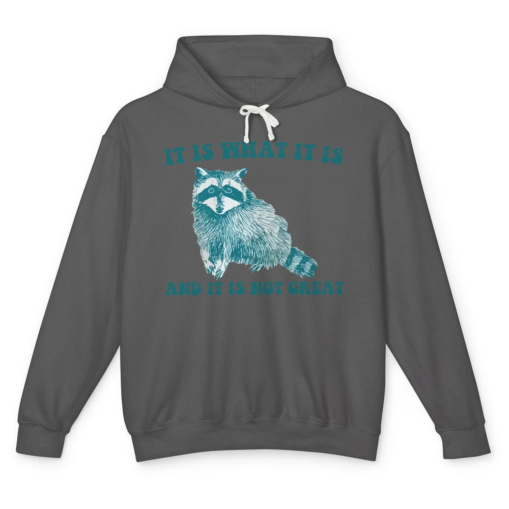 Funny Raccoon It Is What It Is Sarcastic Racoon Inspiration Unisex Lightweight Hoodie