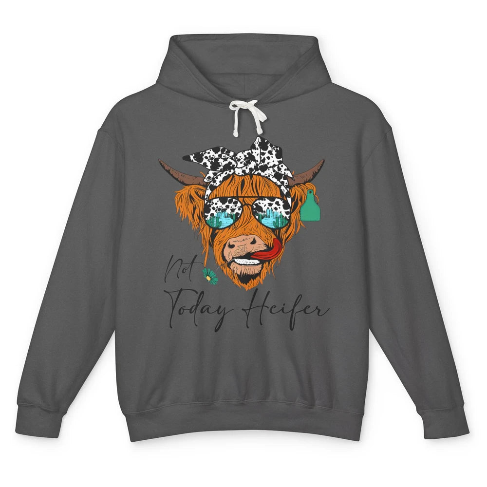 Desert Highland Cow Sunglasses Not Today Heifer Cow Lovers Unisex Lightweight Hoodie