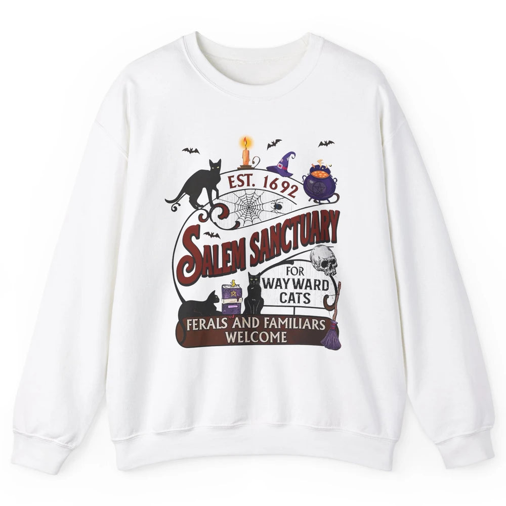 Witch Cat Salem Sanctuary Witch City Halloween Cat Costume Unisex Crewneck Sweatshirt